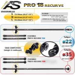 ARC SYSTEME - Ensemble FIX Pro18 Recurve Double - T35