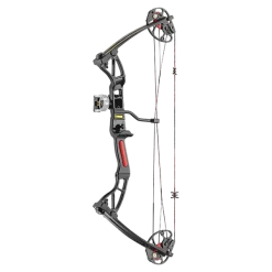 EK - Kit Arc à Poulies REX 10-29