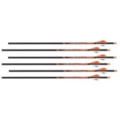 RAVIN - Traits Carbone .003 (x6)